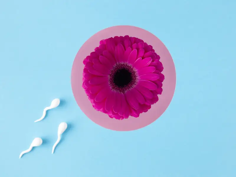 علائم تخمک گذاری موفق